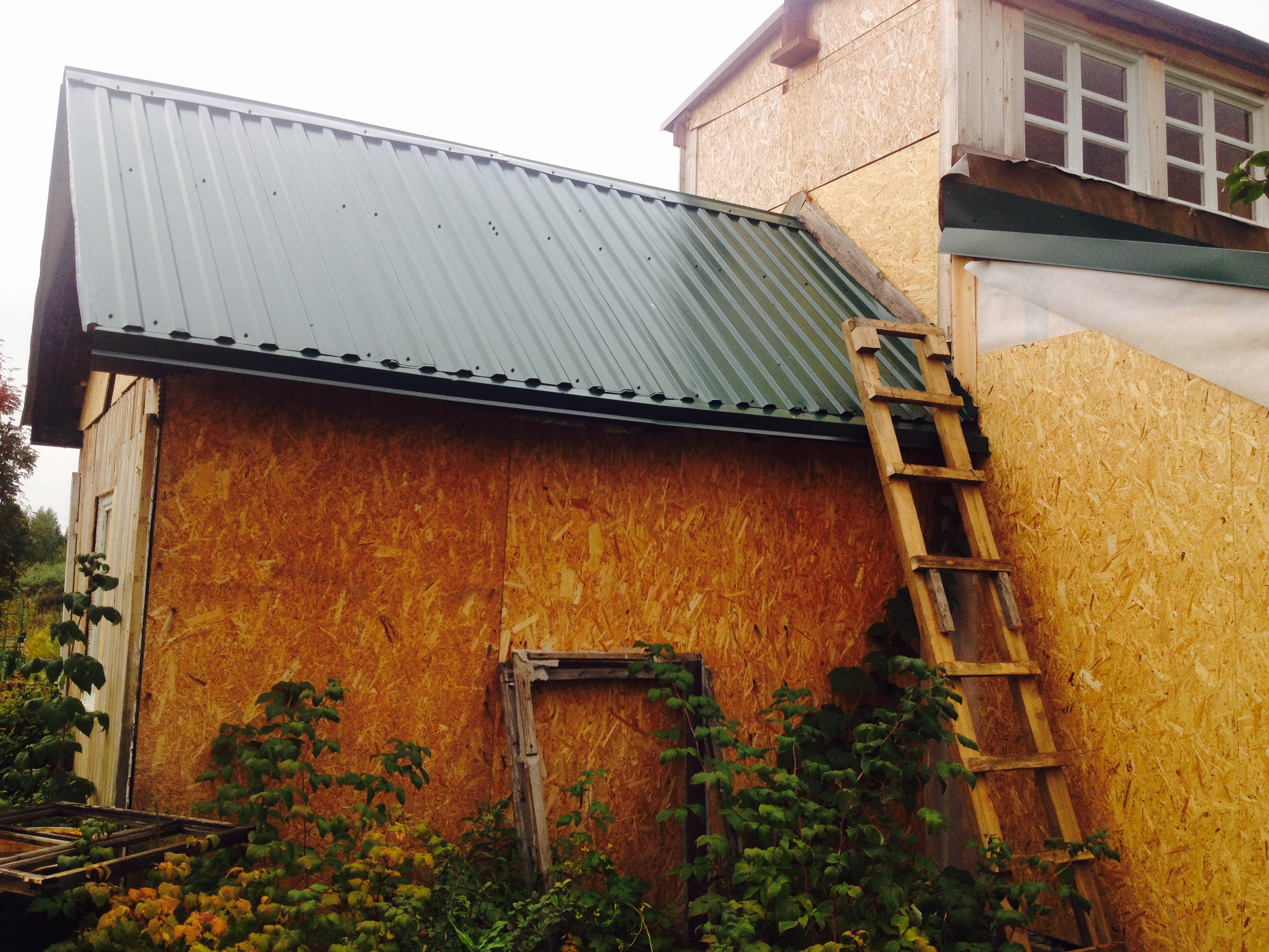 House from the container in the garden